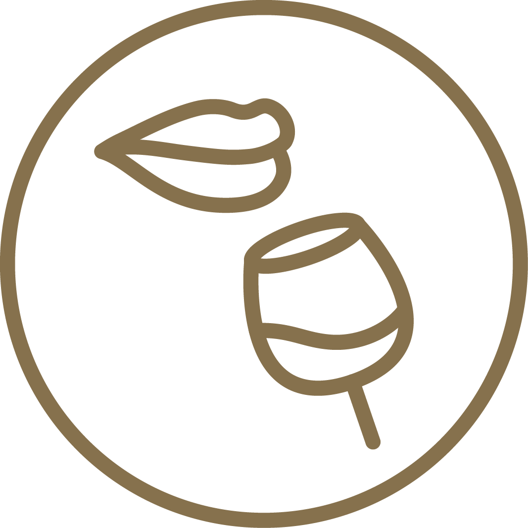 Gaumen