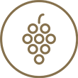 Kulinarischer Spaziergang durch die Weinberge - Logo