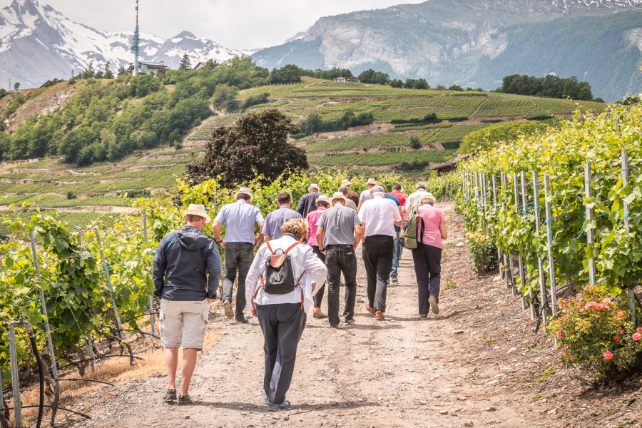 UN PARCOURS EXCLUSIF