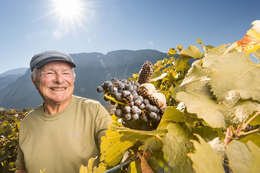 Une viticulture durable