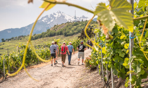 Genussvolle Entdeckungsreise