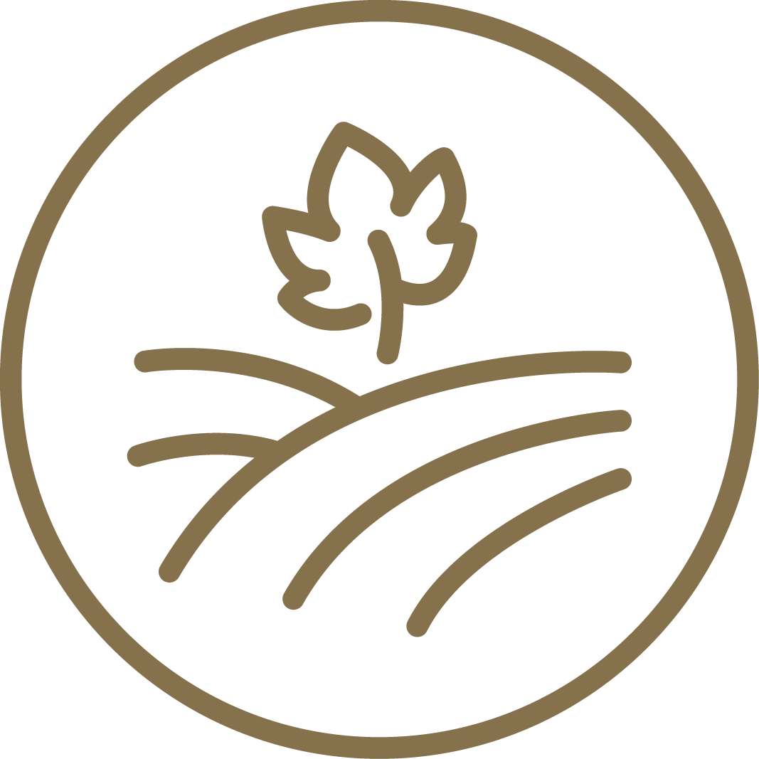 Fondation St-Raphaël - Logo