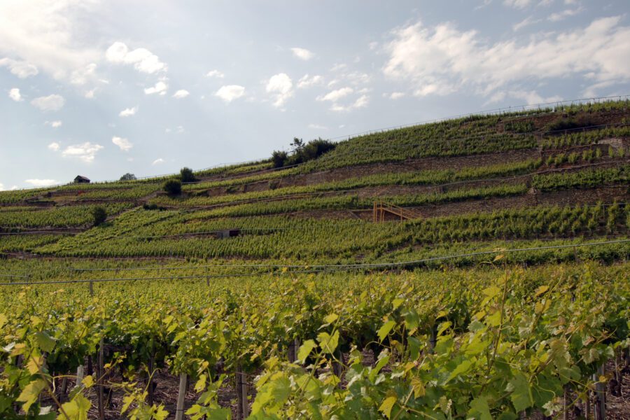 Fondation St-Raphaël